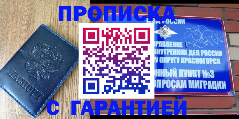 регистрация в Камчатском крае